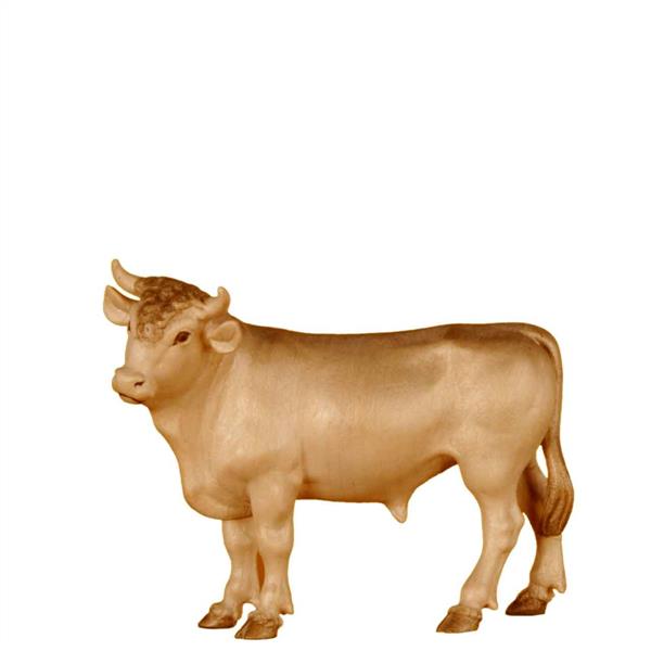 Ochs stehend