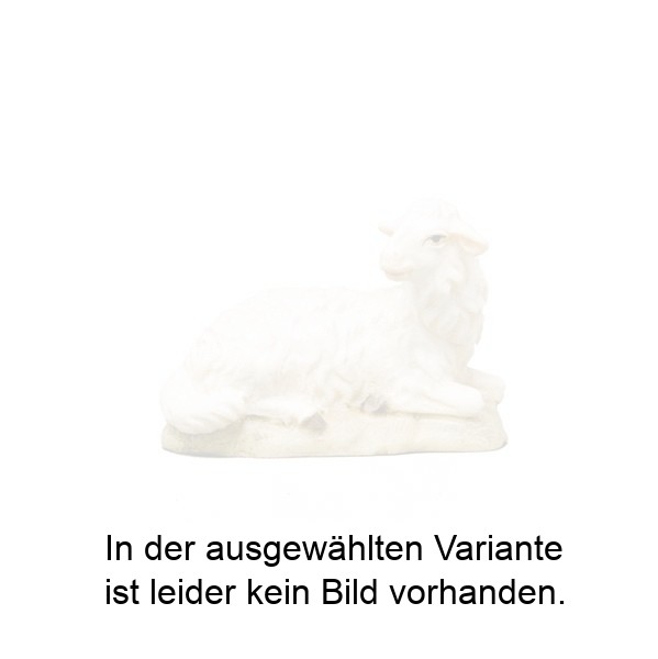 Schaf liegend