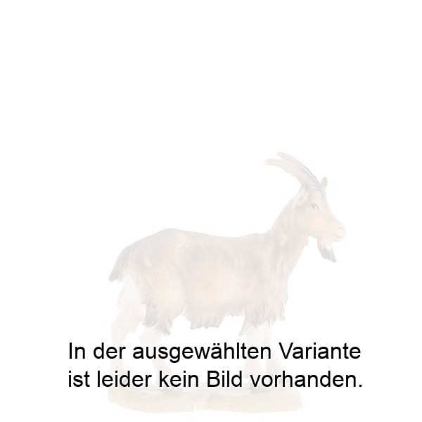Ziege