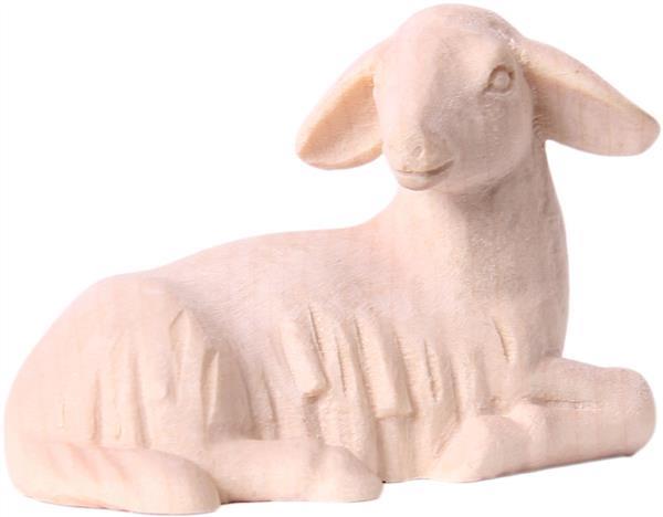 Schaf liegend Schaf liegend