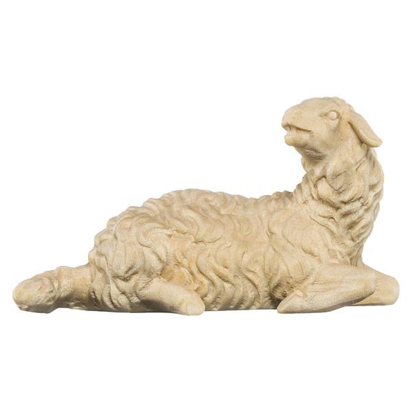 Schaf liegend Schaf liegend