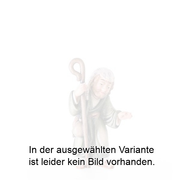 Hirt mit Stock