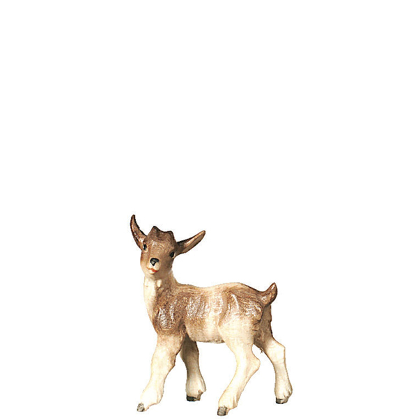 Zicklein stehend Zicklein stehend