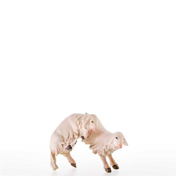 Lämmer vor Freude hüpfend Lämmer vor Freude hüpfend
