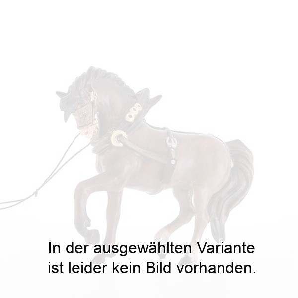 Pferd (passend zu Karren Nr. 22000) Pferd (passend zu Karren Nr. 22000)