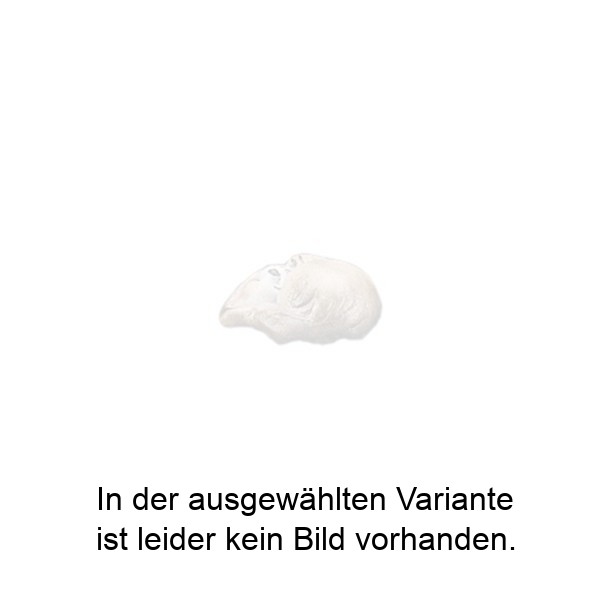 Schlafendes Kätzchen Schlafendes Kätzchen