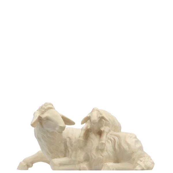 Schaf mit Lamm auf Rücken Schaf mit Lamm auf Rücken