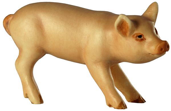 Ferkel Kopf rechts