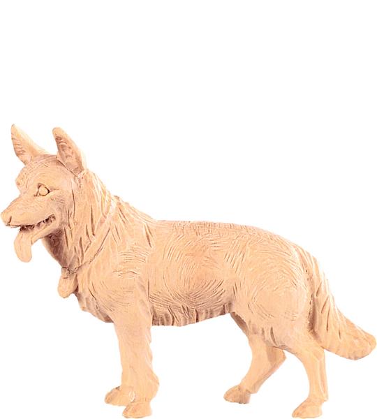 Schäferhund
