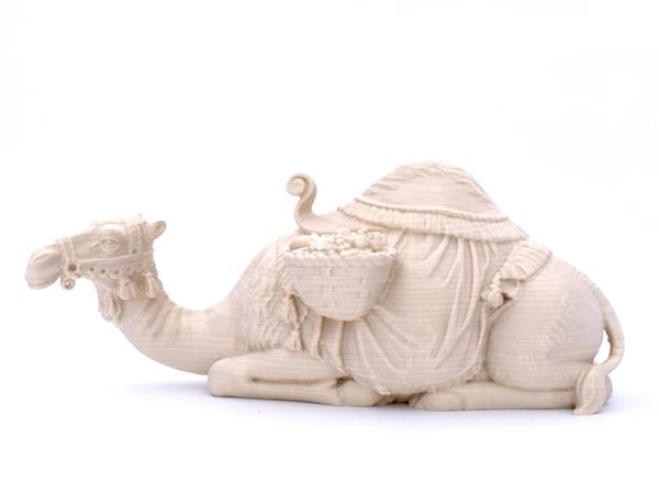 Kamel liegend Kamel liegend