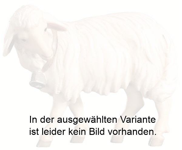 Schaf mit Glocke orientalisch Schaf mit Glocke orientalisch