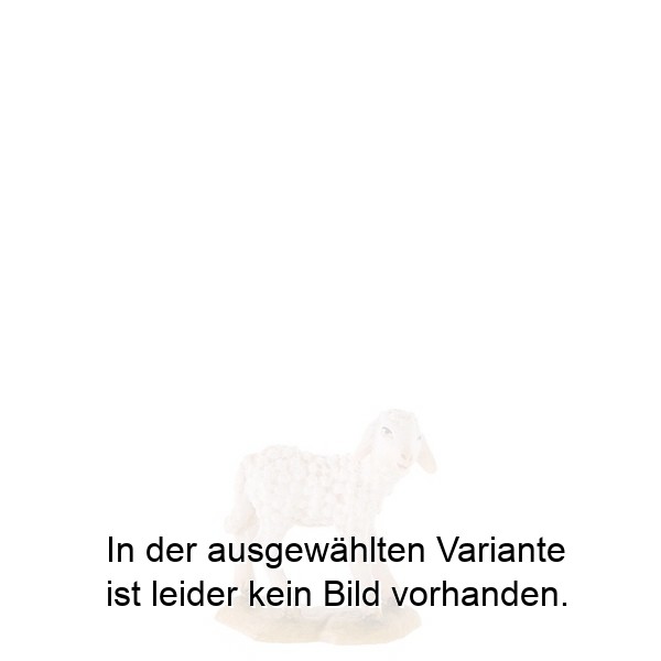 Lamm stehend Lamm stehend