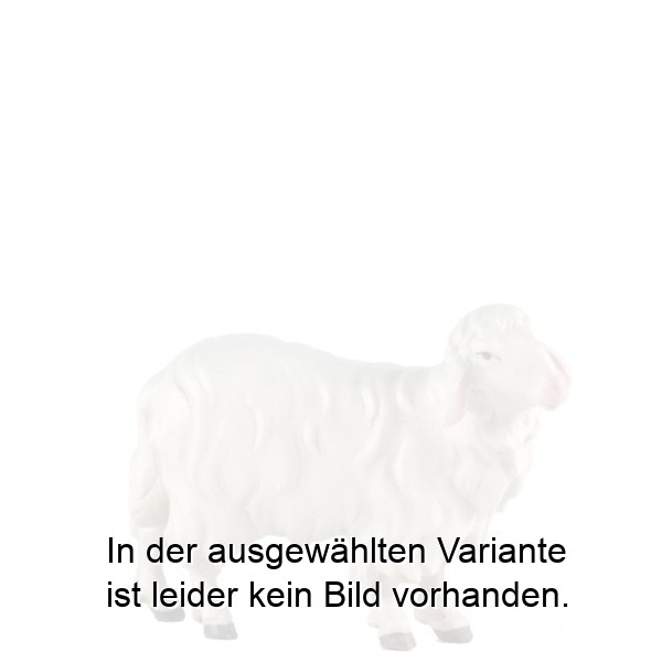 Schaf stehend rechts Schaf stehend rechts