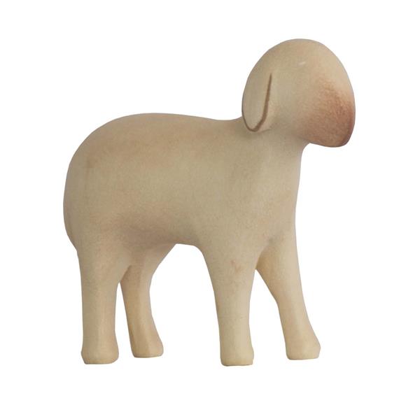 Schaf stehend Schaf stehend