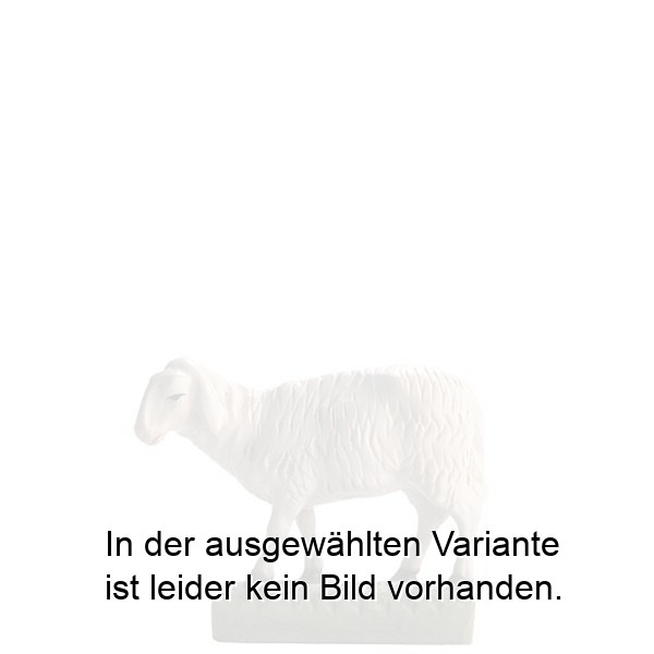 Schaf Stehend