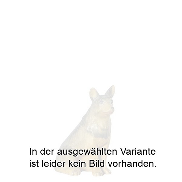 Hund