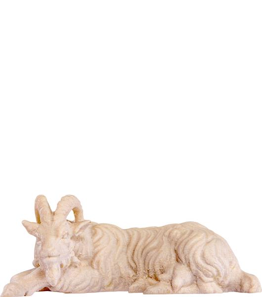 Ziege liegend Ziege liegend