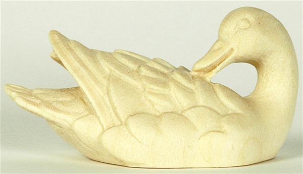 Ente schwimmend - Kopf hinten grün Ente schwimmend - Kopf hinten grün