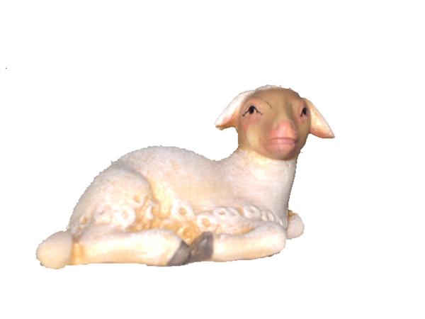 Lamm liegend