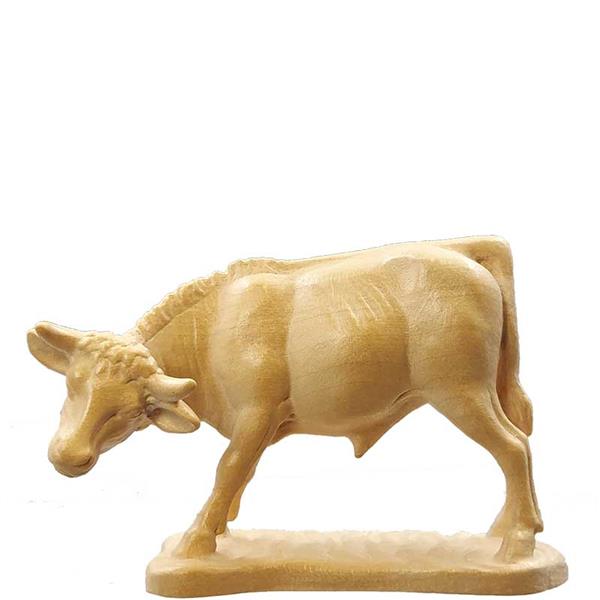 Ochs stehend Ochs stehend