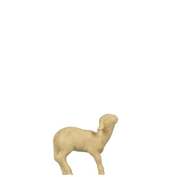 Lamm modern Lamm modern