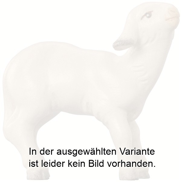 Lamm modern Lamm modern