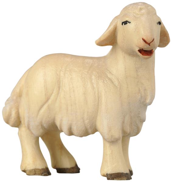Lamm stehend