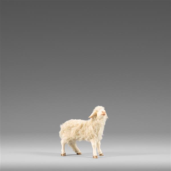 Schaf stehend mit Wolle beige