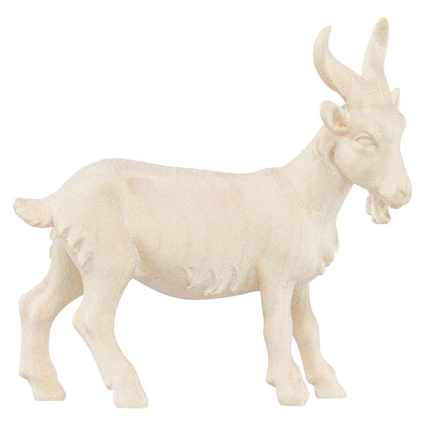 Ziegenbock Ziegenbock