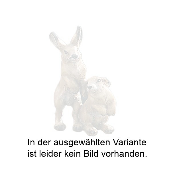 Hasengruppe Hasengruppe