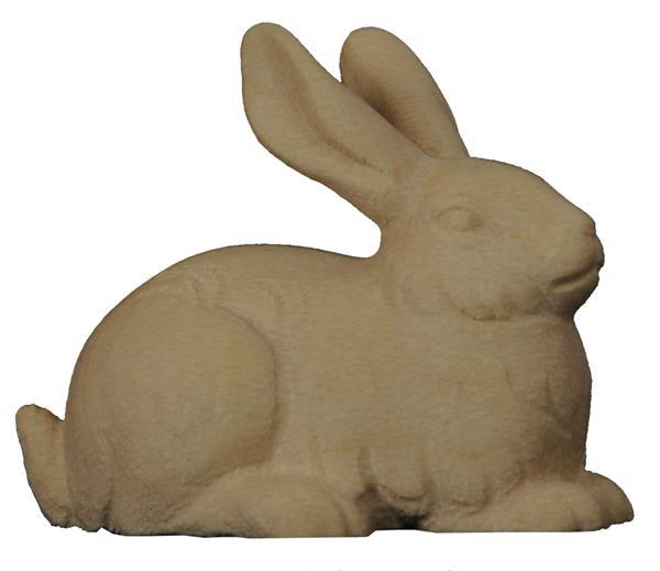 Hase mit gestreckten Ohren Hase mit gestreckten Ohren