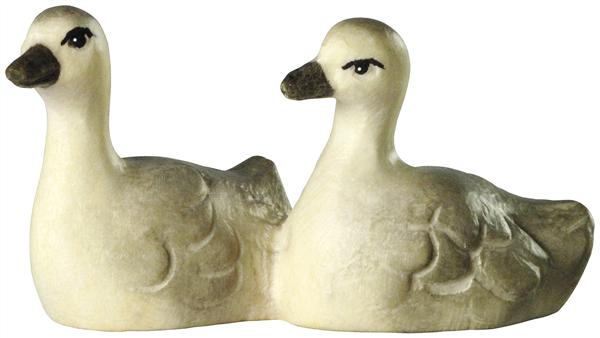 Schwanjungen 2-er Gruppe Schwanjungen 2-er Gruppe