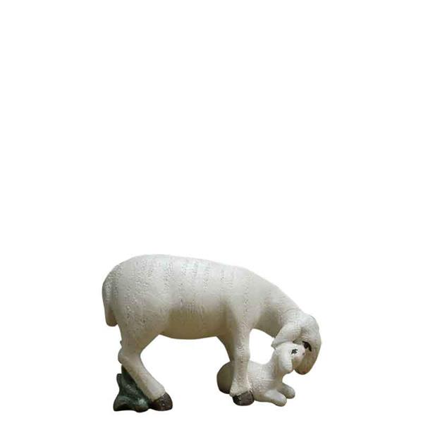 Schaf mit Lamm Schaf mit Lamm