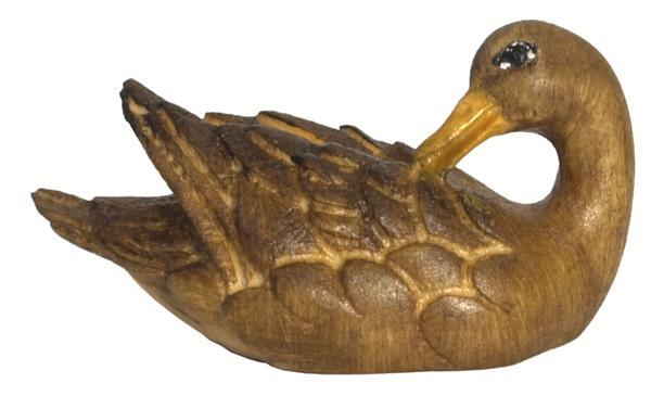 Ente schwimmend - Kopf hinten braun Ente schwimmend - Kopf hinten braun