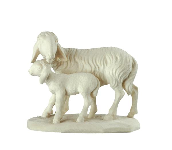 Schaf mit Lamm leckend Schaf mit Lamm leckend