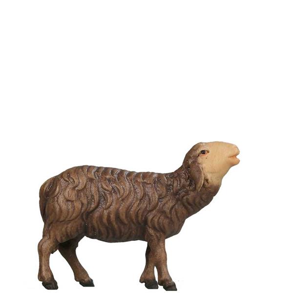 Schaf blökend SCHWARZ Schaf blökend SCHWARZ