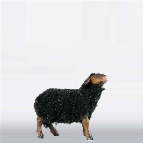 Schaf stehend mit Wolle schwarz