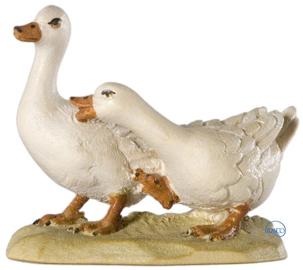 Gänsegruppe Gänsegruppe