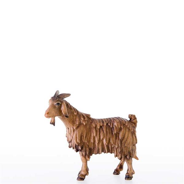 Ziege Ziege