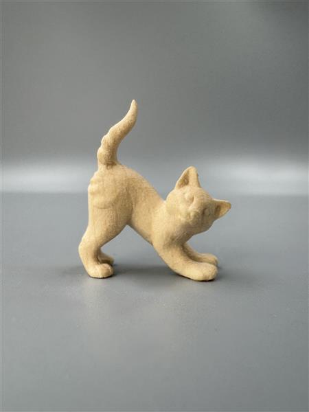 Schnurrendes Kätzchen Schnurrendes Kätzchen