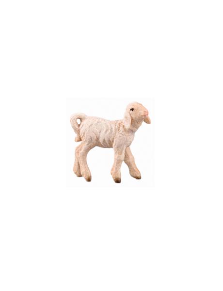 Lamm rechtsschauend