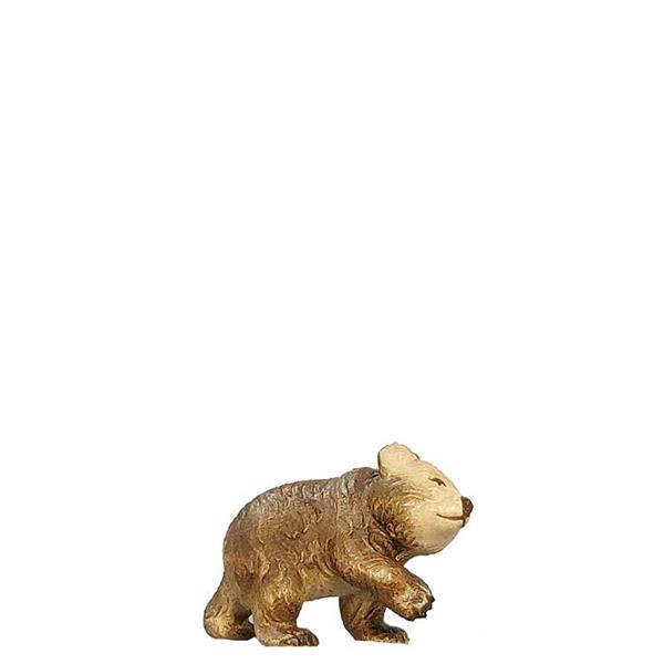 Junger Bär Junger Bär