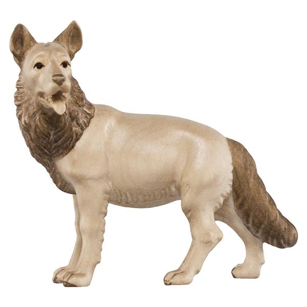 Schäferhund