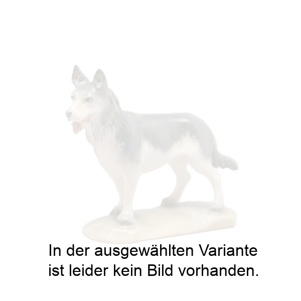 Schäferhund