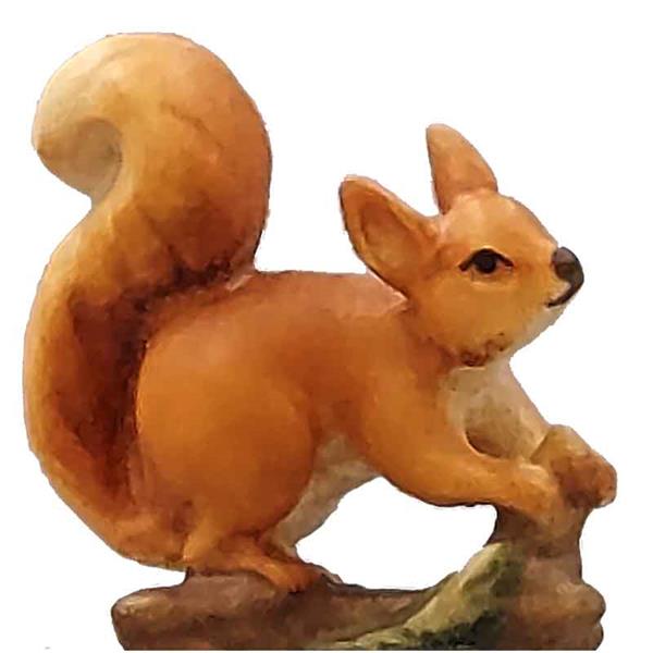 Eichhörnchen auf Ast rot-braun Eichhörnchen auf Ast rot-braun