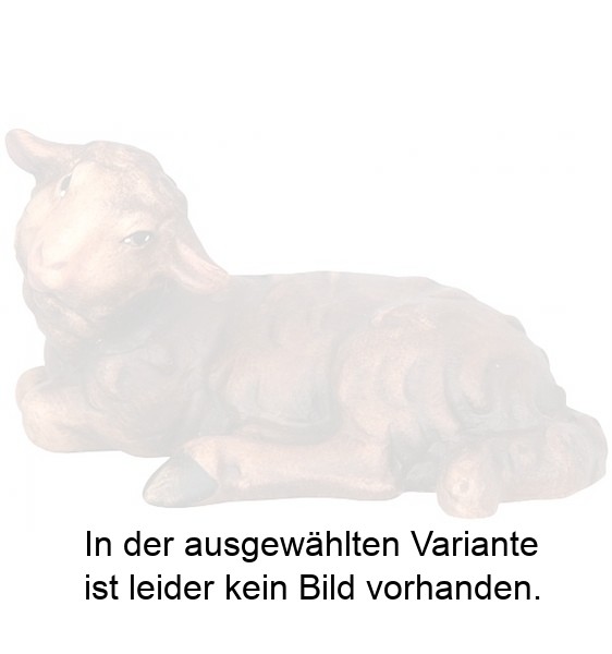 Schwarzes Schaf liegend