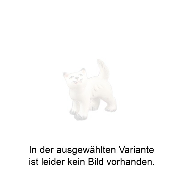 Kätzchen nach oben schauend Kätzchen nach oben schauend