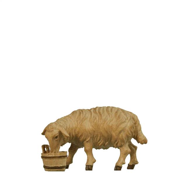 Schaf mit Trog