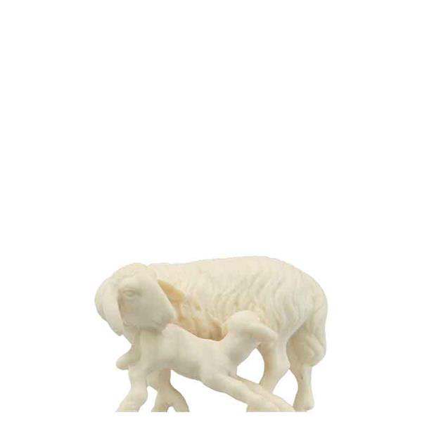 Schaf mit Lamm Schaf mit Lamm