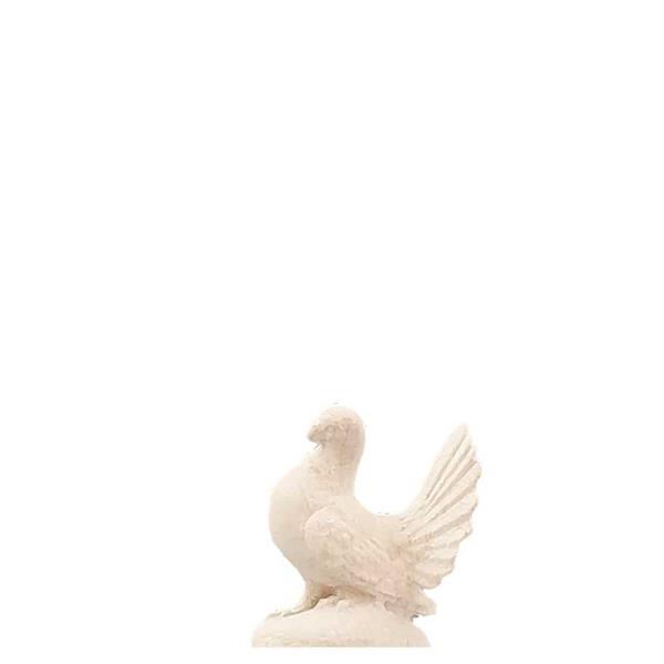 Turteltaube Turteltaube